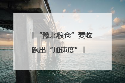 “豫北粮仓”麦收跑出“加速度”